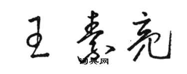 骆恒光王素亮草书个性签名怎么写