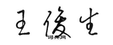 骆恒光王俊生草书个性签名怎么写