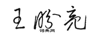 骆恒光王盼亮草书个性签名怎么写