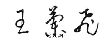 骆恒光王兰飞草书个性签名怎么写