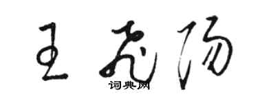 骆恒光王飞阳草书个性签名怎么写