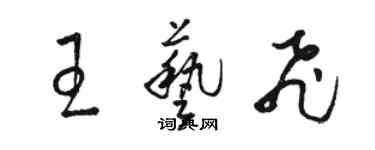 骆恒光王艺飞草书个性签名怎么写
