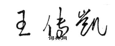 骆恒光王传凯草书个性签名怎么写