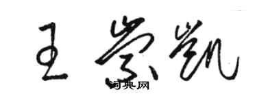 骆恒光王崇凯草书个性签名怎么写