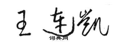 骆恒光王连凯草书个性签名怎么写