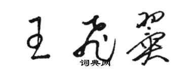 骆恒光王飞翼草书个性签名怎么写