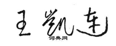 骆恒光王凯连草书个性签名怎么写
