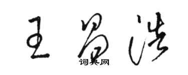 骆恒光王昌浩草书个性签名怎么写