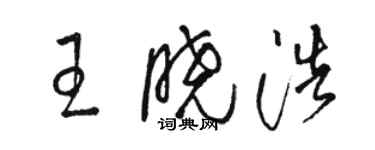 骆恒光王晓浩草书个性签名怎么写