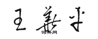 骆恒光王华平草书个性签名怎么写