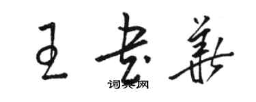 骆恒光王书华草书个性签名怎么写