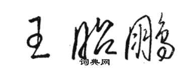 骆恒光王昭鹏草书个性签名怎么写