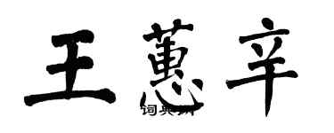 翁闿运王蕙辛楷书个性签名怎么写