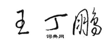 骆恒光王丁鹏草书个性签名怎么写