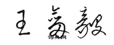 骆恒光王剑毅草书个性签名怎么写