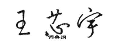 骆恒光王芯宇草书个性签名怎么写