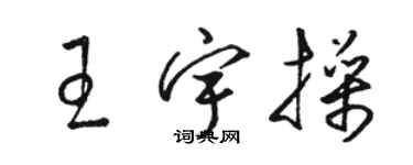 骆恒光王宇操草书个性签名怎么写