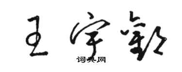 骆恒光王宇欢草书个性签名怎么写