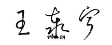 骆恒光王泰宁草书个性签名怎么写