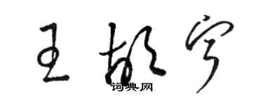 骆恒光王胡宁草书个性签名怎么写