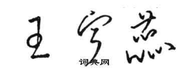 骆恒光王宁蕊草书个性签名怎么写