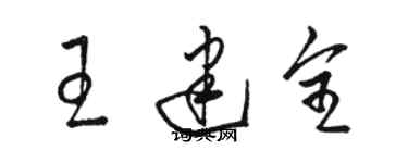骆恒光王建全草书个性签名怎么写