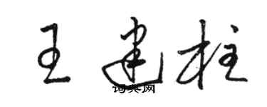 骆恒光王建柱草书个性签名怎么写