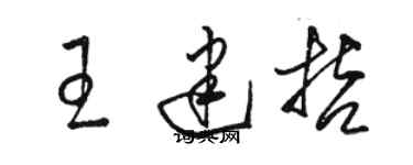 骆恒光王建哲草书个性签名怎么写