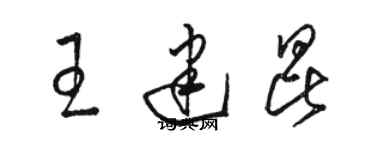 骆恒光王建昆草书个性签名怎么写
