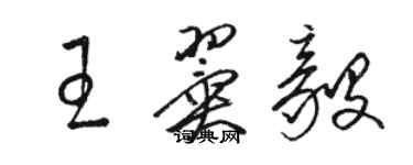 骆恒光王翼毅草书个性签名怎么写