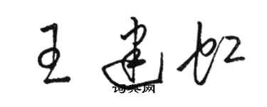 骆恒光王建虹草书个性签名怎么写