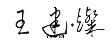 骆恒光王建灿草书个性签名怎么写