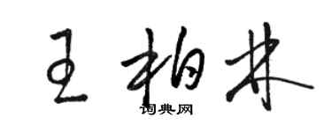 骆恒光王柏林草书个性签名怎么写