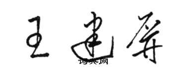 骆恒光王建屏草书个性签名怎么写