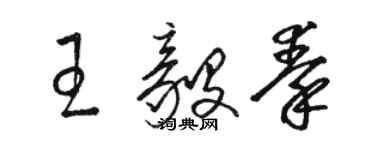 骆恒光王毅秦草书个性签名怎么写