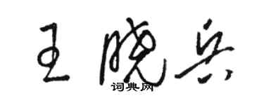 骆恒光王晓兵草书个性签名怎么写