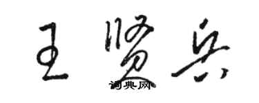 骆恒光王贤兵草书个性签名怎么写