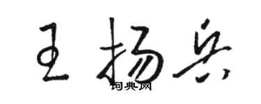 骆恒光王扬兵草书个性签名怎么写