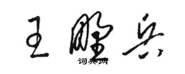 骆恒光王野兵草书个性签名怎么写