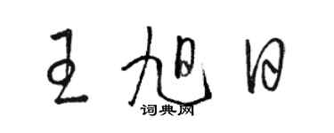 骆恒光王旭日草书个性签名怎么写