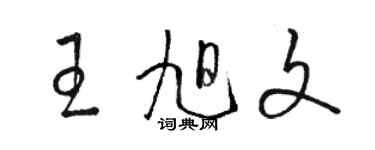 骆恒光王旭文草书个性签名怎么写