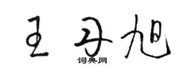 骆恒光王丹旭草书个性签名怎么写