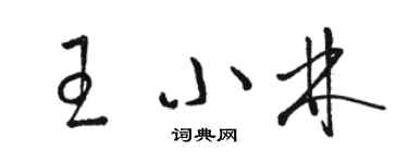 骆恒光王小林草书个性签名怎么写