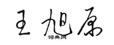 骆恒光王旭原草书个性签名怎么写