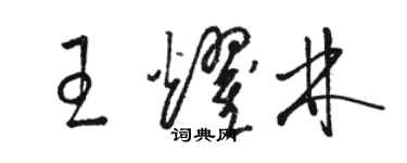 骆恒光王耀林草书个性签名怎么写