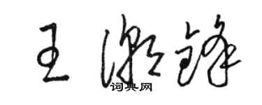 骆恒光王潮锋草书个性签名怎么写