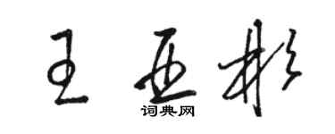 骆恒光王亚彬草书个性签名怎么写