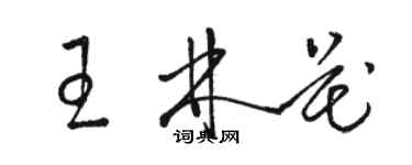 骆恒光王林花草书个性签名怎么写