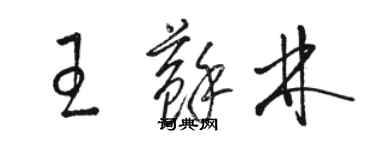 骆恒光王苏林草书个性签名怎么写