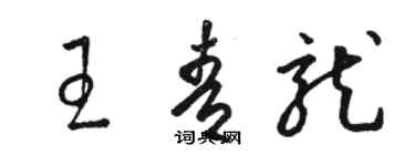 骆恒光王青龙草书个性签名怎么写